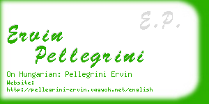 ervin pellegrini business card